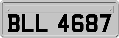 BLL4687