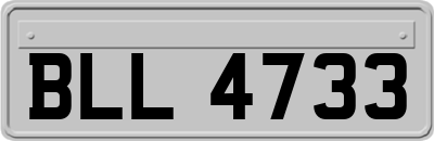 BLL4733