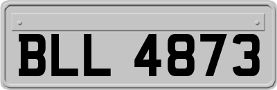 BLL4873