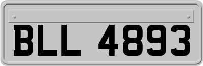 BLL4893