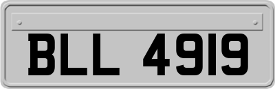 BLL4919