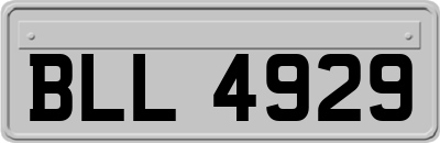 BLL4929