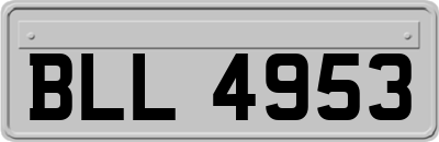 BLL4953