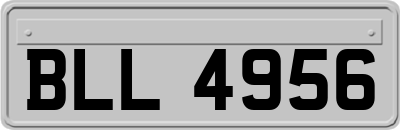 BLL4956