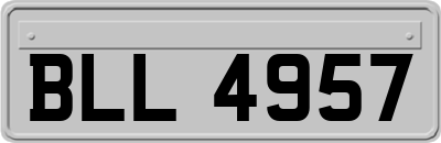 BLL4957