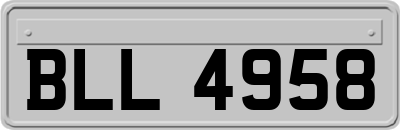 BLL4958