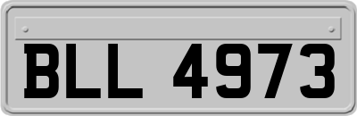 BLL4973