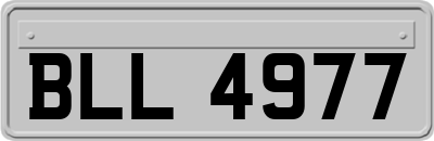 BLL4977