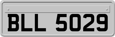 BLL5029