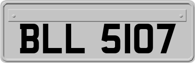 BLL5107