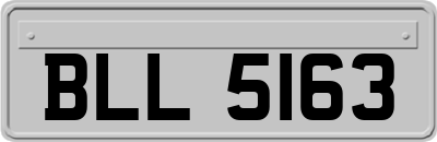 BLL5163