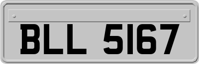 BLL5167