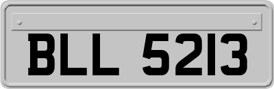 BLL5213