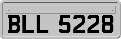 BLL5228