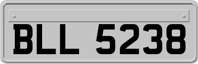 BLL5238