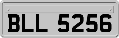 BLL5256