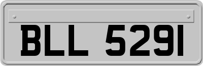 BLL5291
