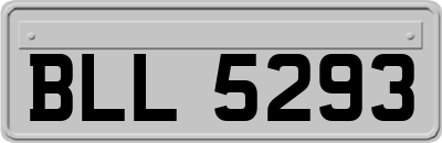 BLL5293