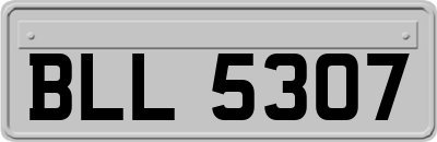 BLL5307