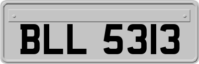 BLL5313