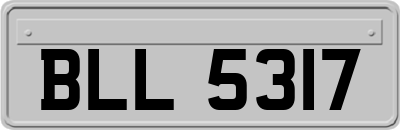 BLL5317
