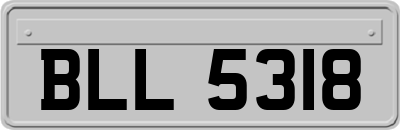 BLL5318