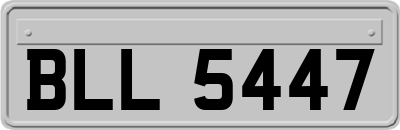 BLL5447