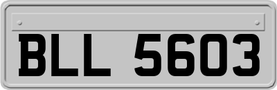 BLL5603