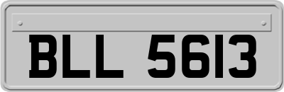 BLL5613