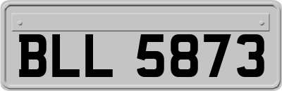 BLL5873