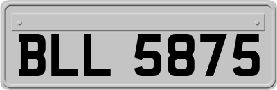 BLL5875