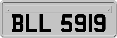 BLL5919