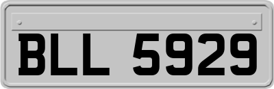 BLL5929