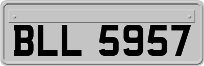 BLL5957