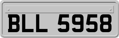 BLL5958