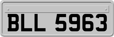 BLL5963