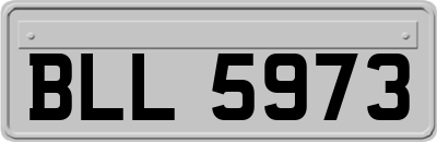 BLL5973