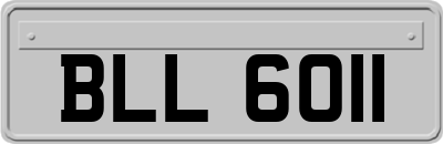 BLL6011