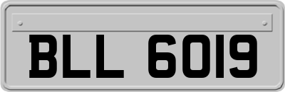 BLL6019