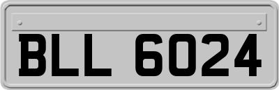 BLL6024