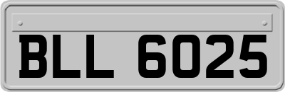 BLL6025