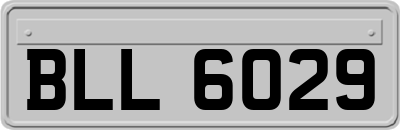 BLL6029