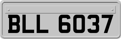 BLL6037