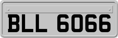 BLL6066