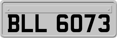 BLL6073