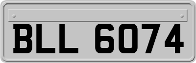 BLL6074