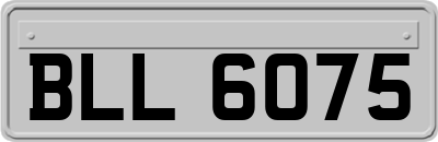 BLL6075