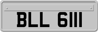 BLL6111