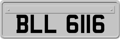 BLL6116