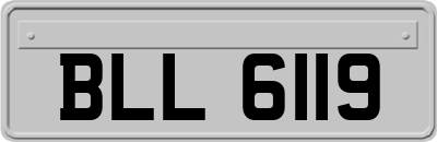 BLL6119